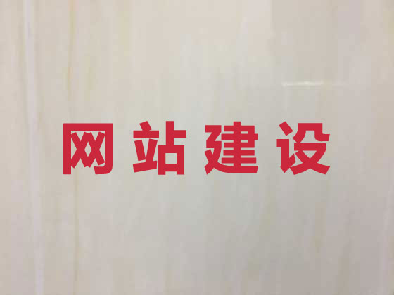 宁德网站开发正规公司